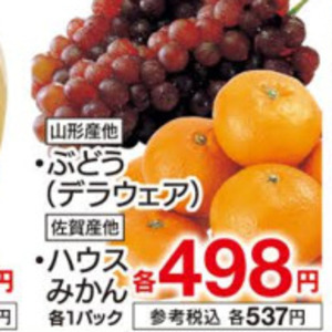 しらす