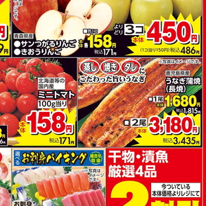 うなぎの蒲焼き