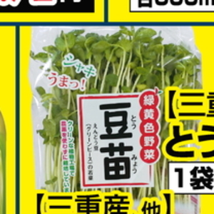 豆苗