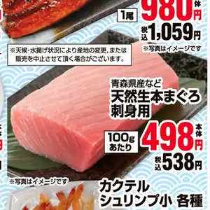 まぐろ（刺身）