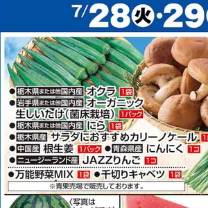 しいたけ