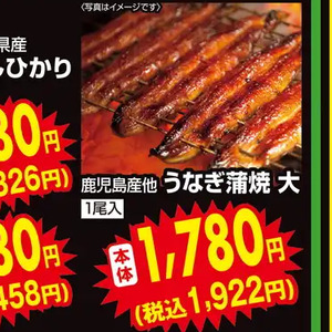 うなぎの蒲焼き