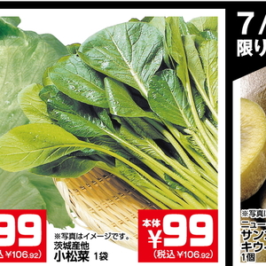 こまつ菜