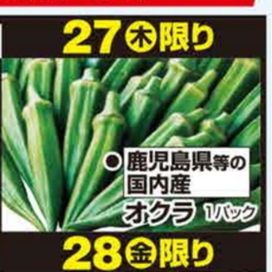 こまつ菜