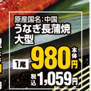 うなぎの蒲焼き