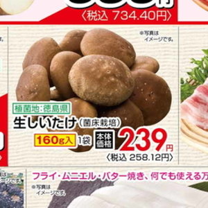 しいたけ