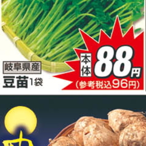 豆苗