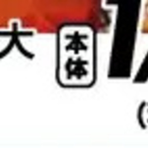 うなぎの蒲焼き