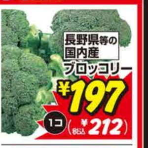 ブロッコリー