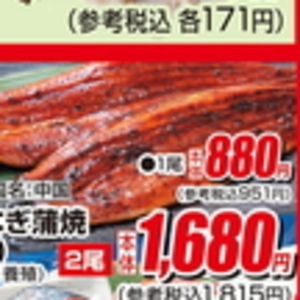 うなぎの蒲焼き