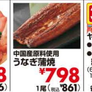 うなぎの蒲焼き
