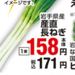 ながねぎ