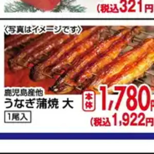 うなぎの蒲焼き