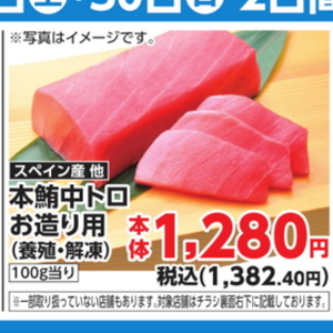 まぐろ中とろ