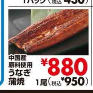 うなぎの蒲焼き