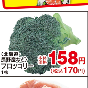 ブロッコリー