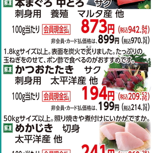 かつお（たたき）