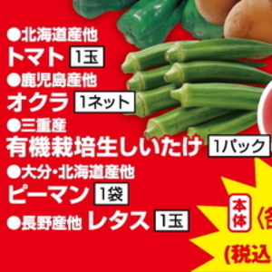 しいたけ