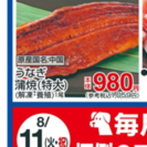 うなぎの蒲焼き
