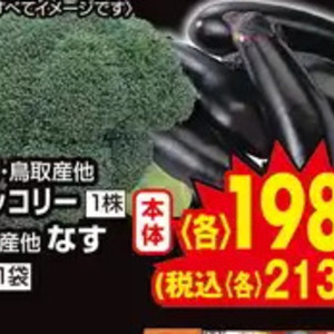 ブロッコリー