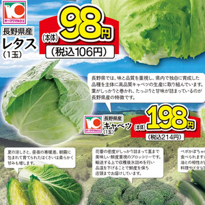 きゃべつ
