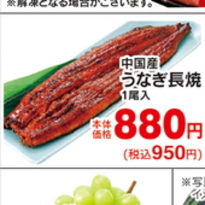 うなぎの蒲焼き