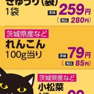 レンコン