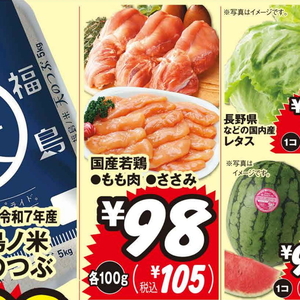 鶏ササミ