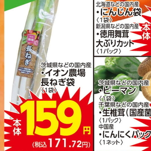 ながねぎ