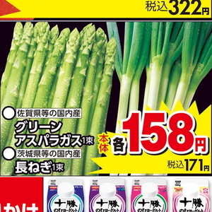 ながねぎ