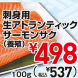 サーモン（さく取り）