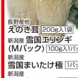 エリンギ