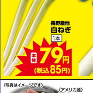 ながねぎ