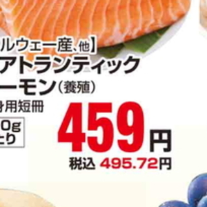 サーモン（さく取り）