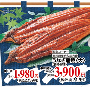 うなぎの蒲焼き