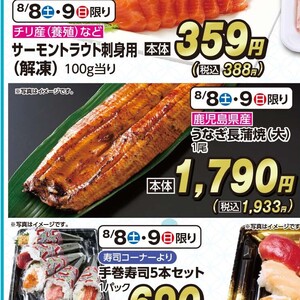 うなぎの蒲焼き