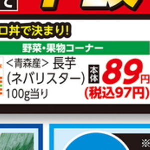 ながねぎ