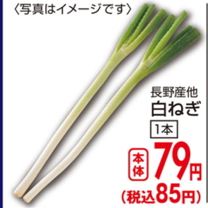 ながねぎ