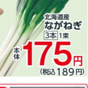 ながねぎ