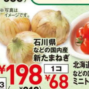 新たまねぎ