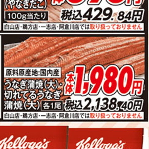 うなぎの蒲焼き