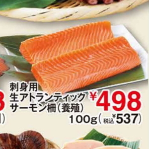 サーモン（さく取り）