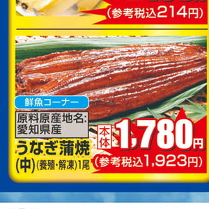 うなぎの蒲焼き