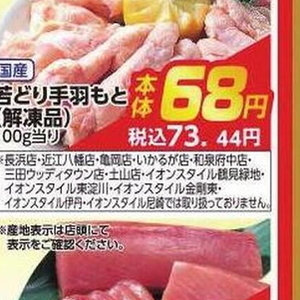 鶏手羽元