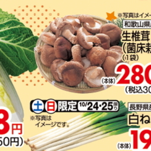 ながねぎ