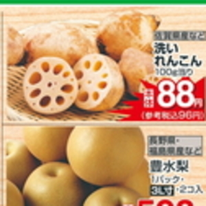 レンコン