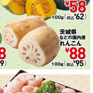 レンコン