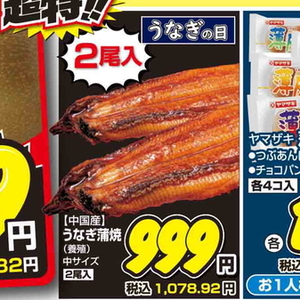 うなぎの蒲焼き