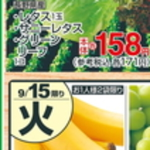 レタス