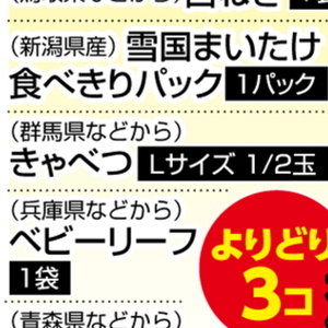 きゃべつ